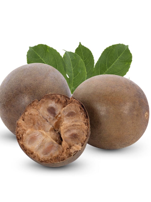 Monk Fruit: Your No-Sugar Sweet Alternative