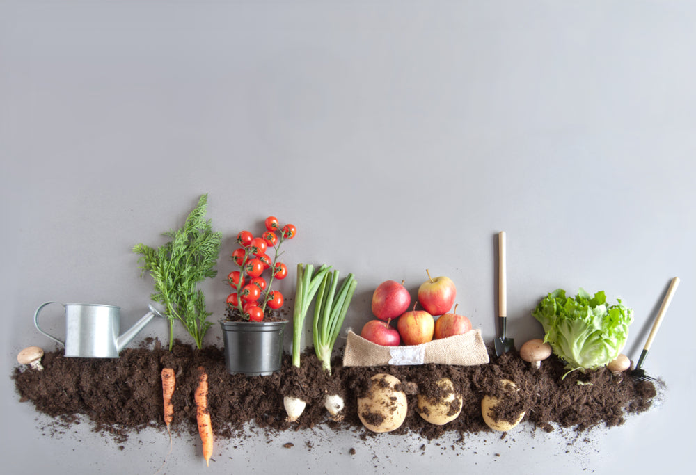 5 Health Benefits of Organic Food