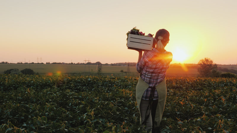 6 Things You Need to Know When Starting an Organic Farm