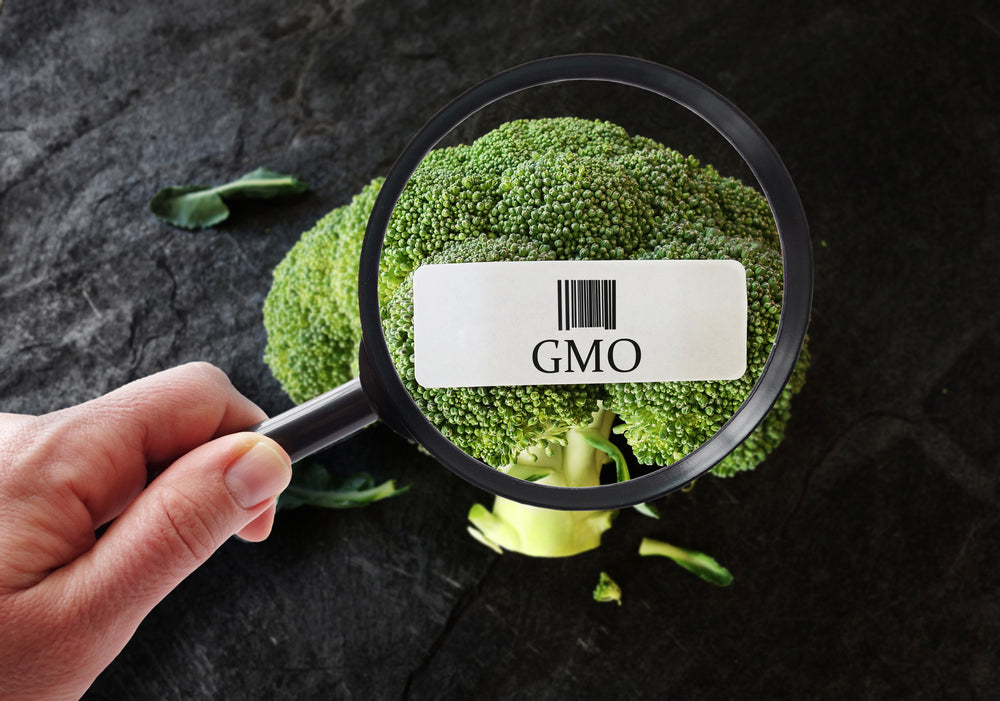 Frequently Asked Questions about GMOs