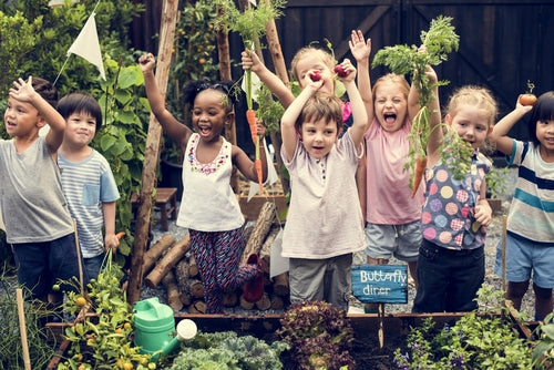Eden Summer Camp 2026