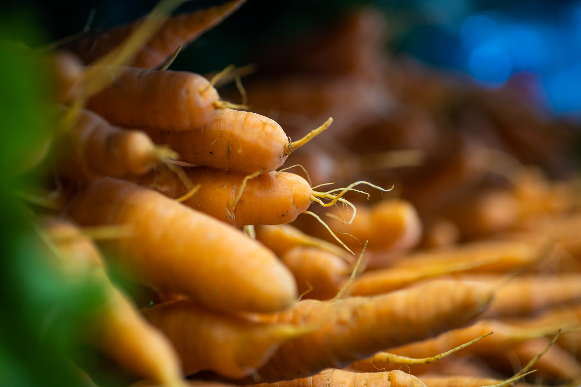 Food Should Heal, Not Harm