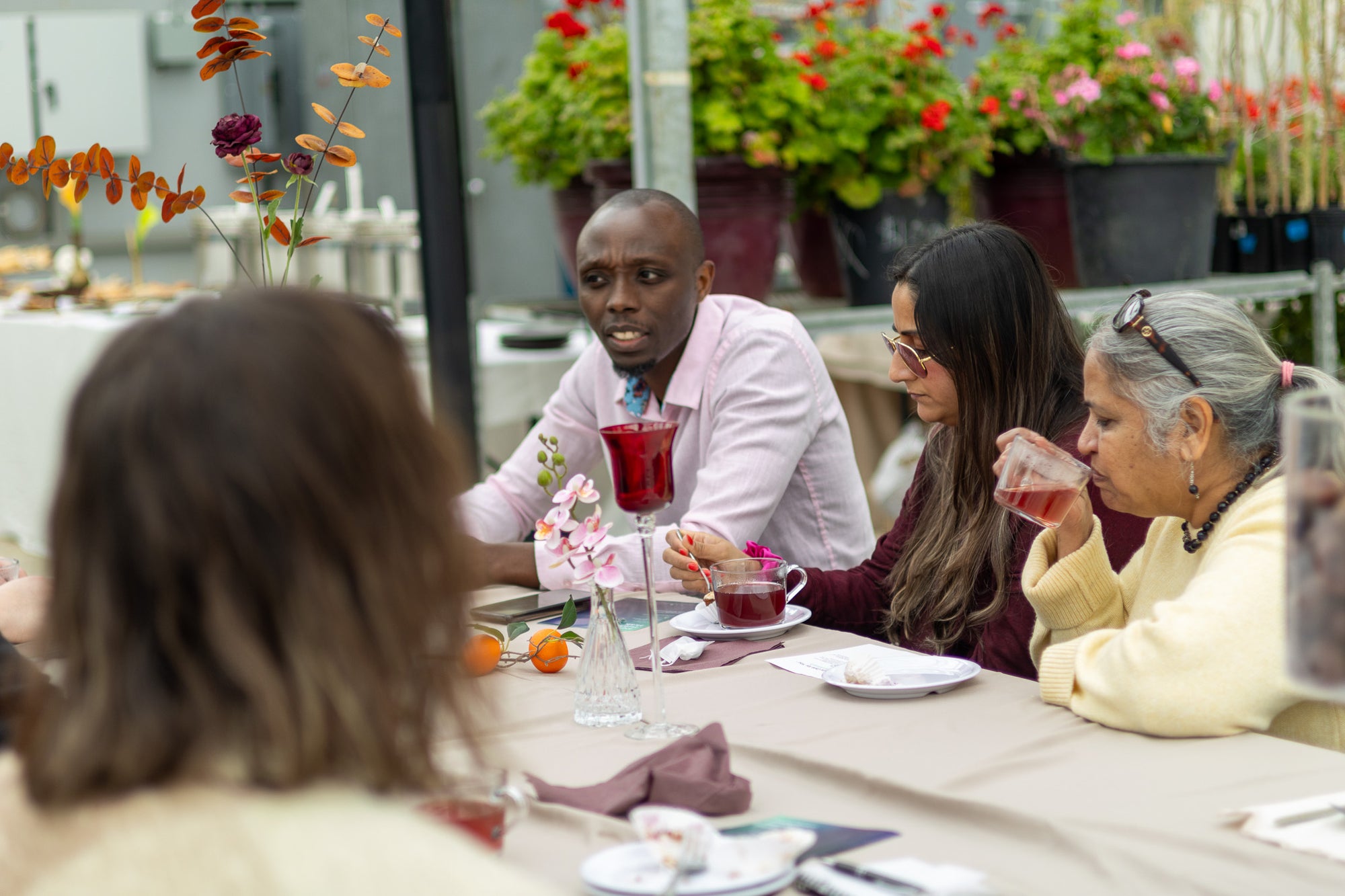 Paradise Fields Survey