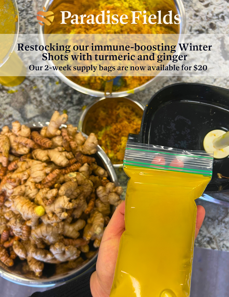 Turmeric and ginger shots. Our 2-week supply frozen bags are now available for $20