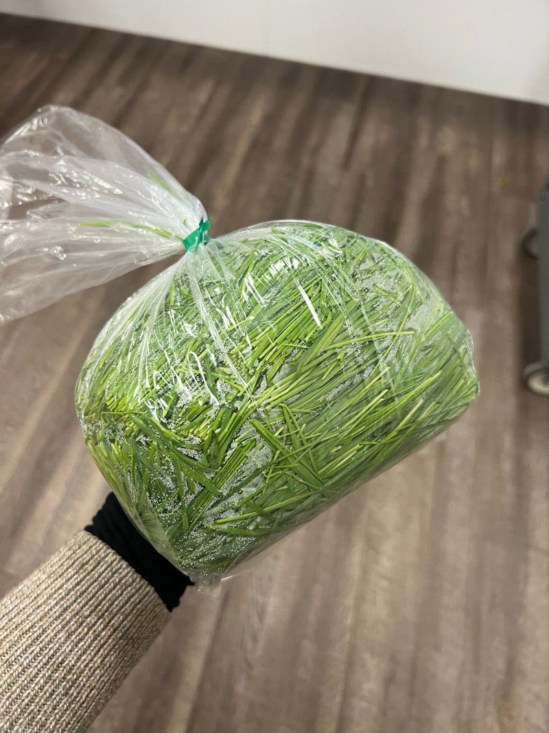 Organic Wheatgrass (1lb)