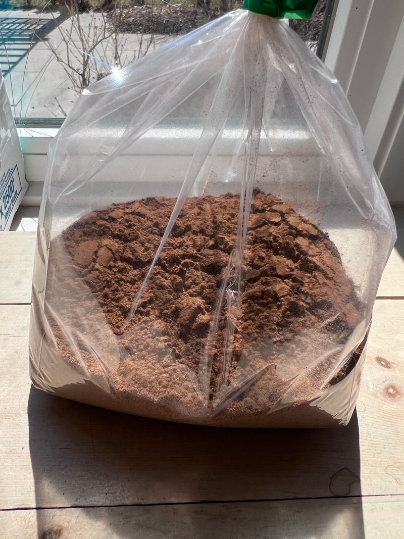 Mayan Coffee Brew (1/2LB) - ONLINE OR PICKUP