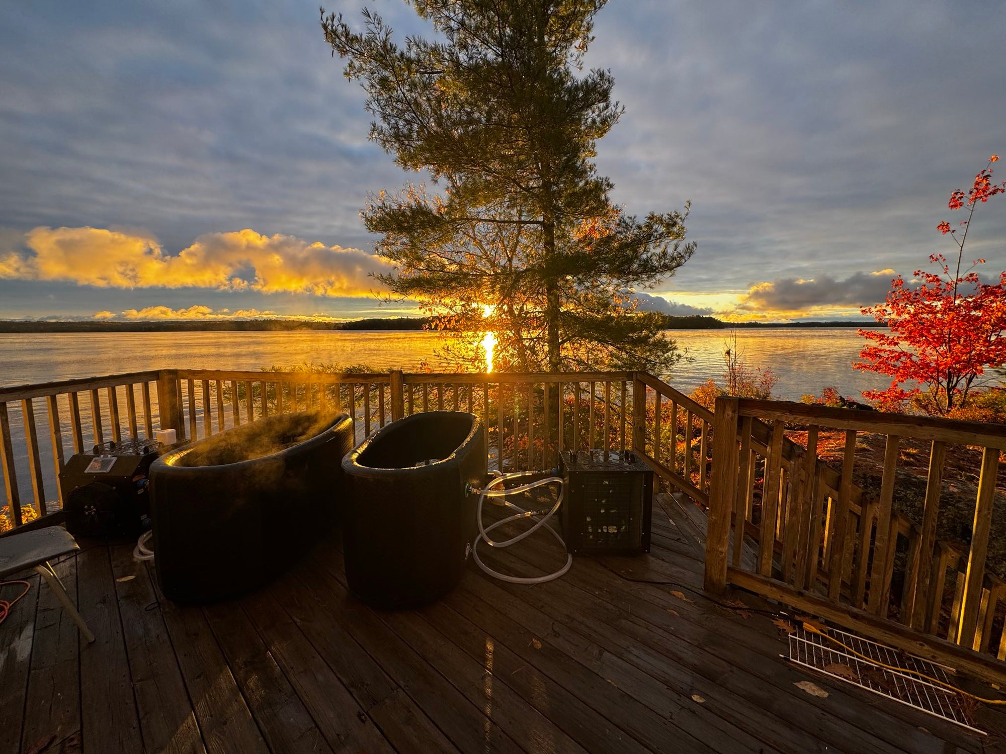 OWIP Application Form