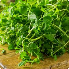 Organic Peashoot Microgreens (1lb) Bagged