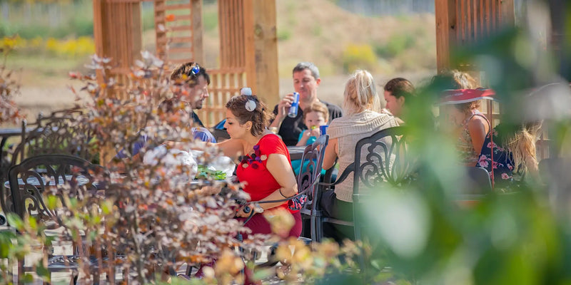 Brunch in Paradise - August 16, 2026
