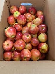 Organic Honey Crisp (10lb bag)