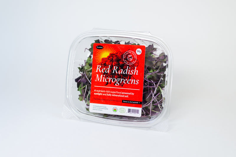 Organic Radish Microgreens (50g)