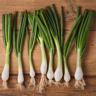 **Organic Green Onion (bunch)