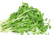Organic Pea Shoots (100g)(200g)(1lb)