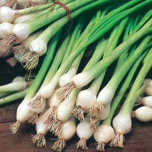 Organic Green Onion (Big bunch)