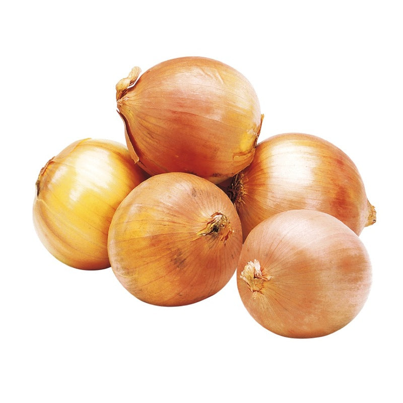 Organic Yellow Onion (lb)